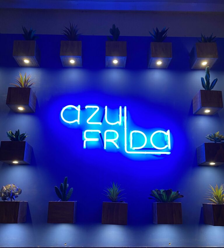 azul-frida-dog-friendly