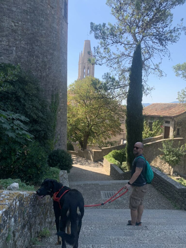 girona dog friendly