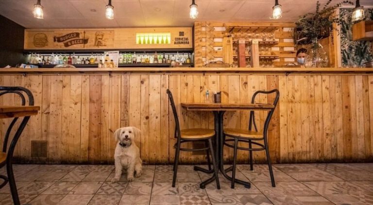 Gastrobar Atabalats dog friendly