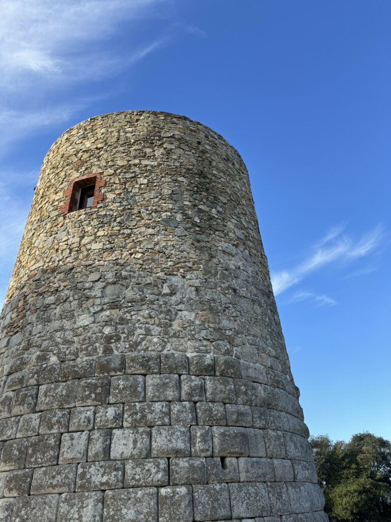 ruta con perros en llinars del vallés
