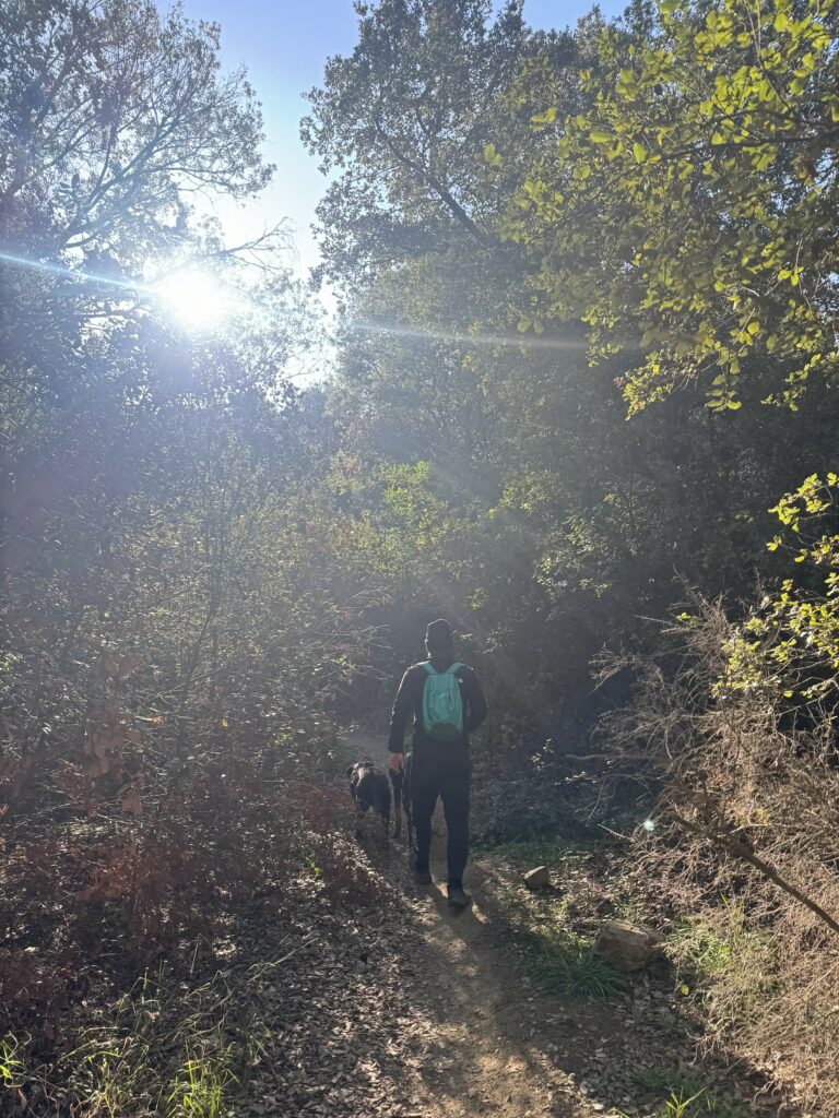 ruta con perros en llinars del vallés