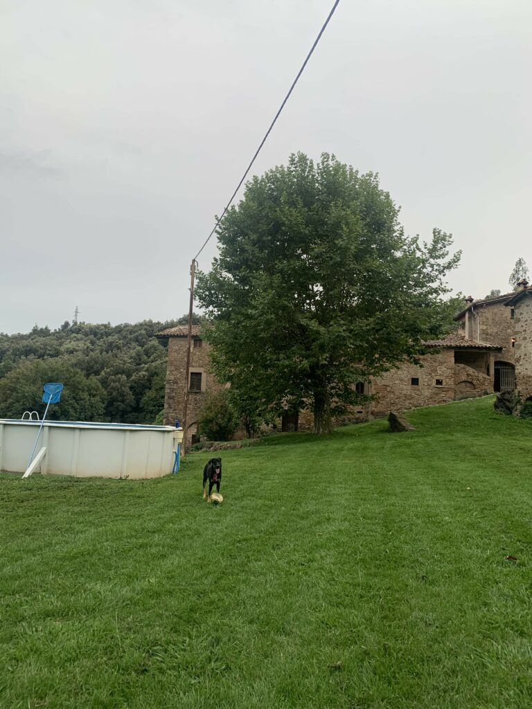 casa rural el callis