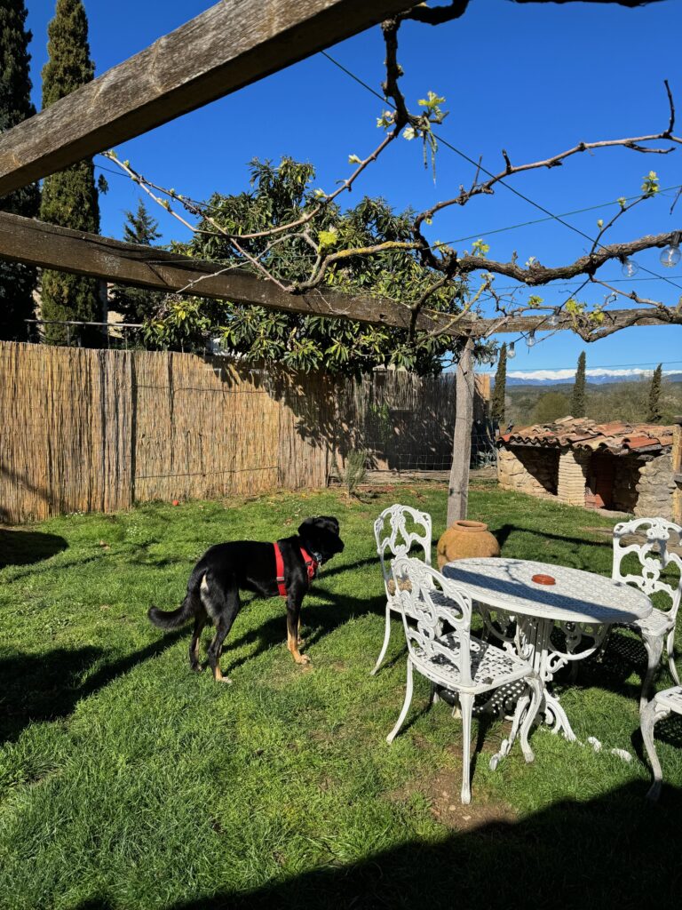 casa rural dog friendly Maia Moncal